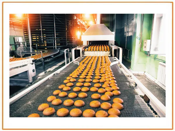 Screw Conveyor Manufacturers in India | Food Processing Plant