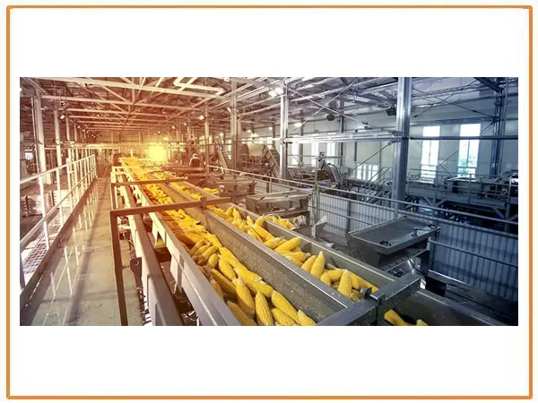 Screw Conveyor Manufacturers in India | Frozen Food Plant