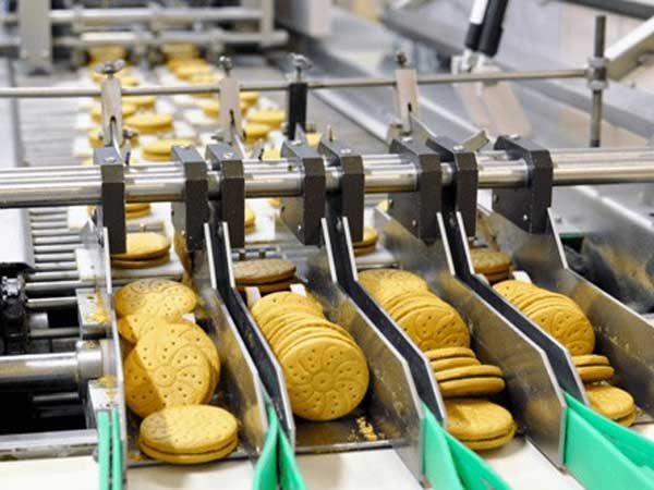food-processing-equipments